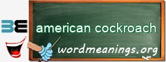 WordMeaning blackboard for american cockroach